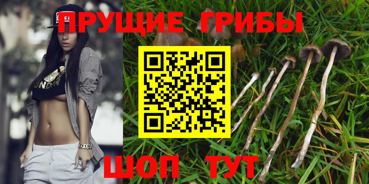 Псилоцибиновые грибы ЛСД Усинск