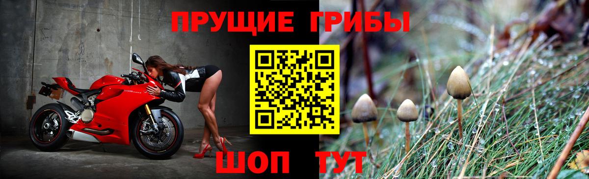 Галлюциногенные грибы мухоморы  Вход с VPN  Усинск 
